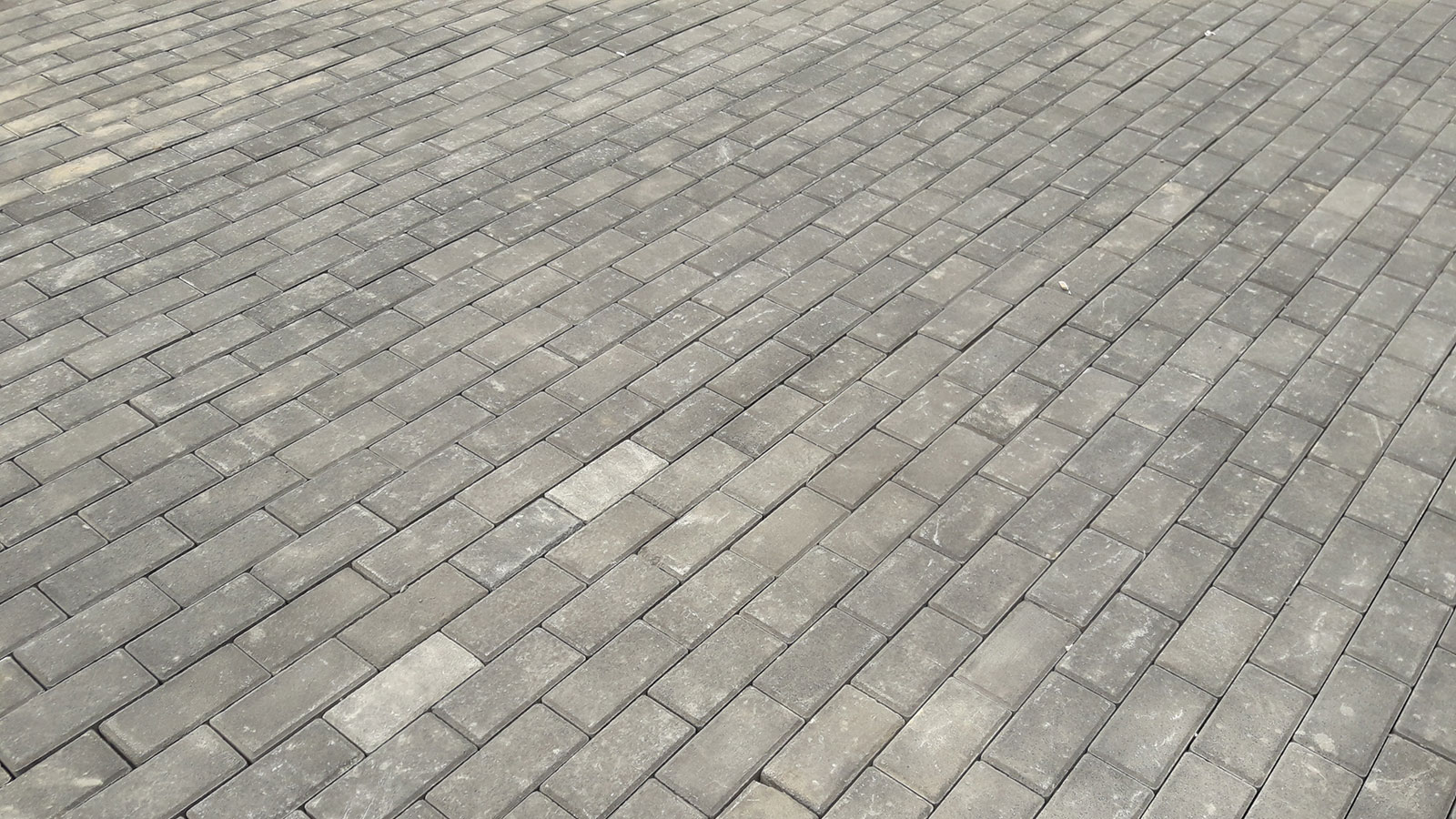 Ландшафтний дизайн для поціновувачів прекрасного